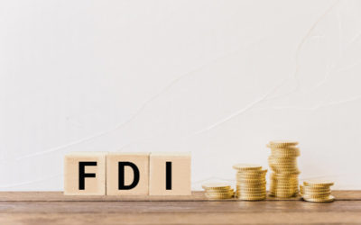 Indian government in FDI reforms overdrive mode